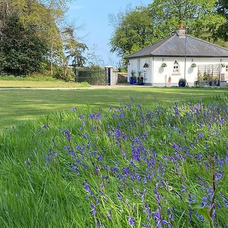 Rathjarney Gatelodge Wexford Esterno foto